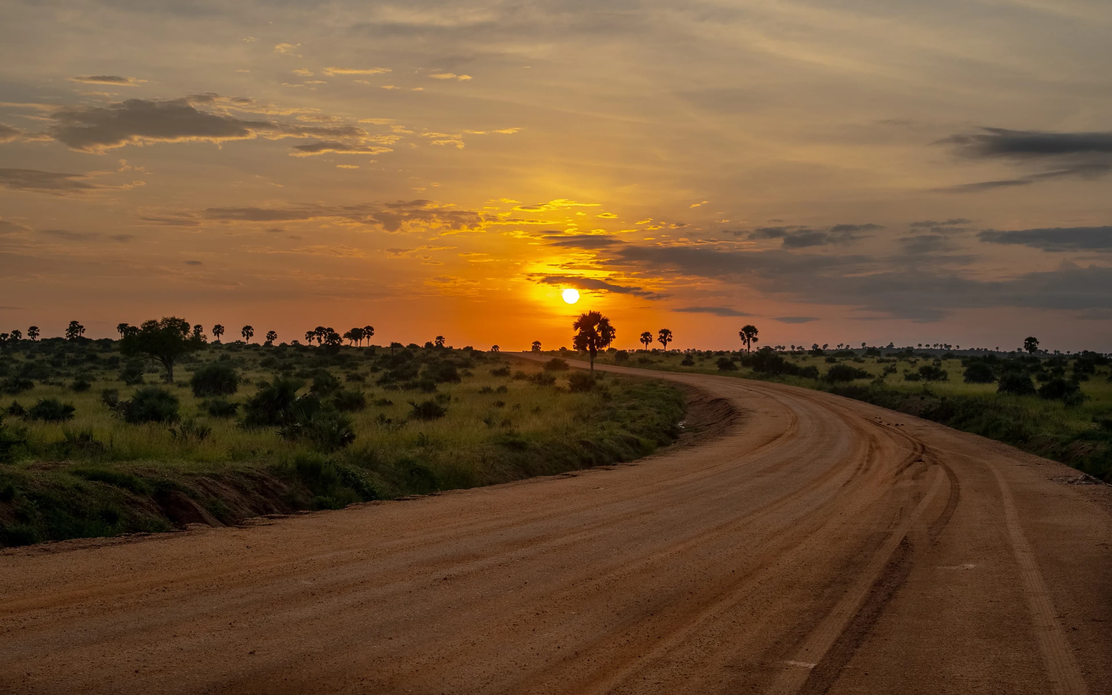 East Africa Safari
